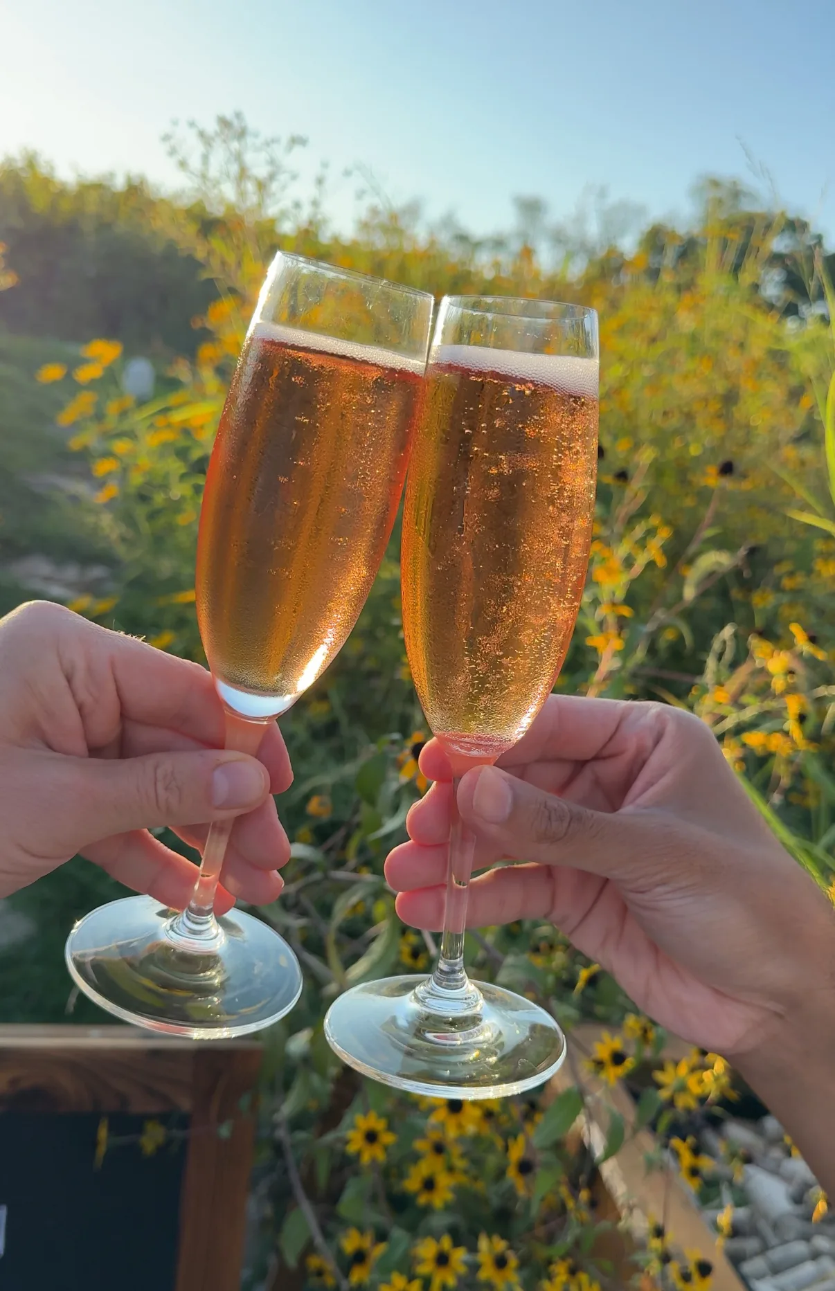 Foraged at Black Ankle Winery