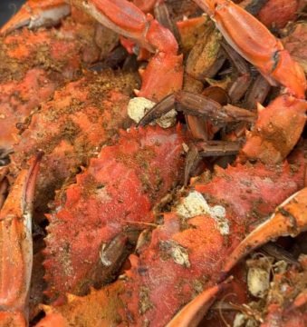 Nick_s Fish House - Steamed Crabs